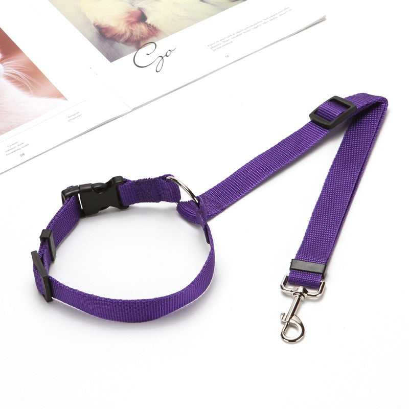 Two-in-one dog car seatbelt