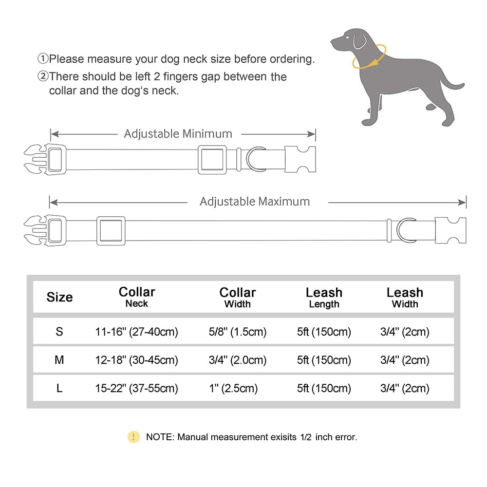 Pet Artist custom dog collar and lead set with name ID