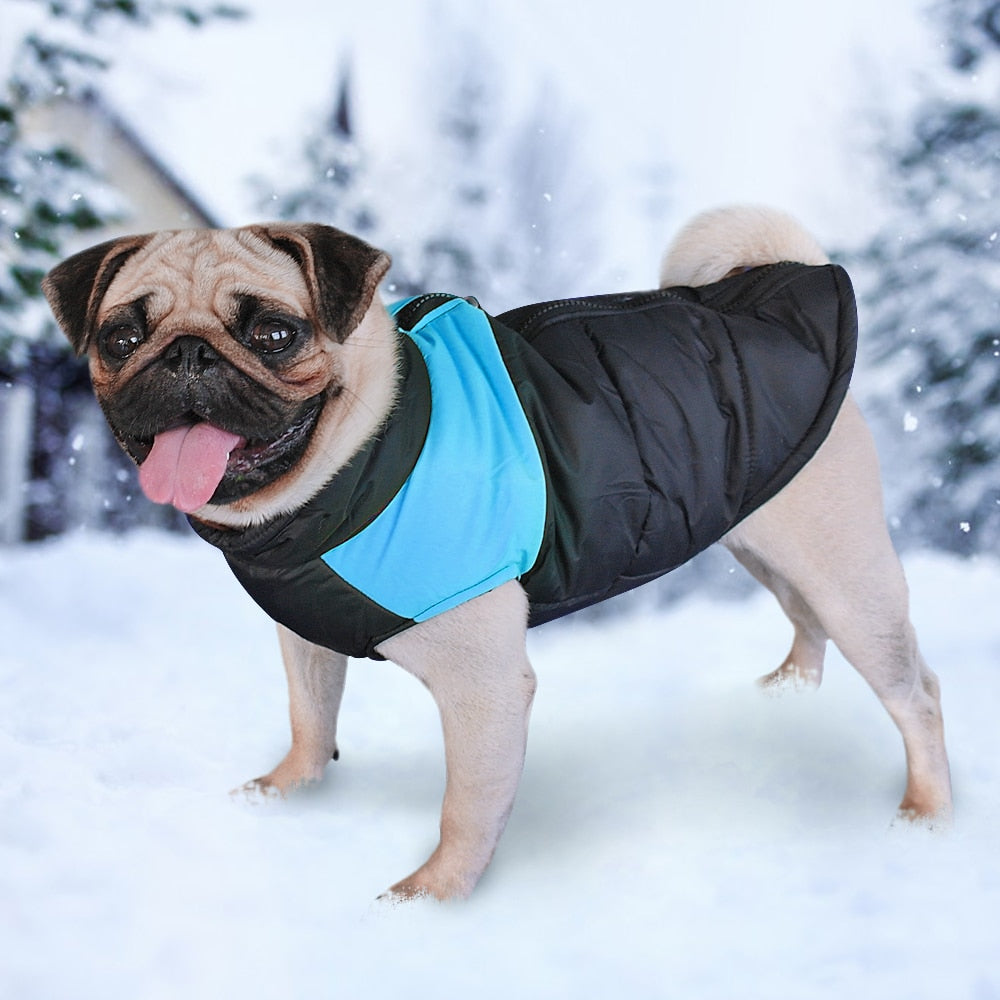 Winter dog vest