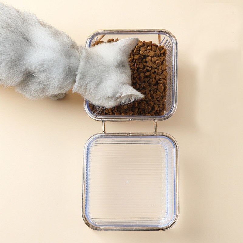 Non-Slip Double Cat Bowl