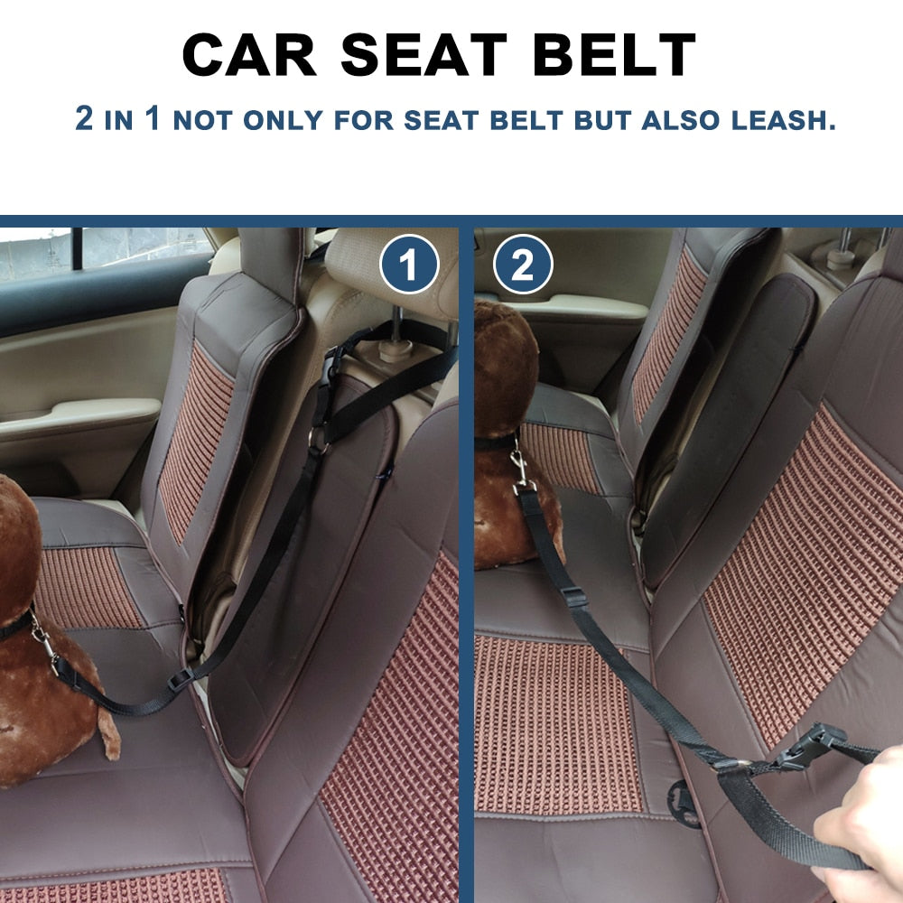 Two-in-one dog car seatbelt