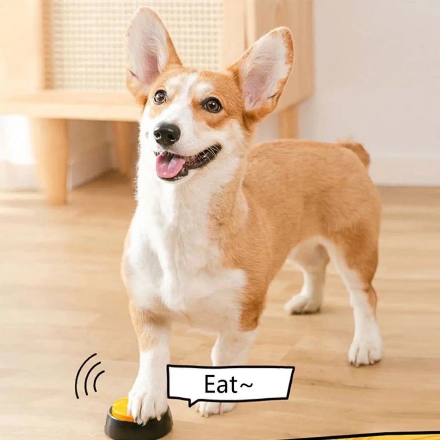 Dog Communication Buttons Voice Recording Button for Pet Training