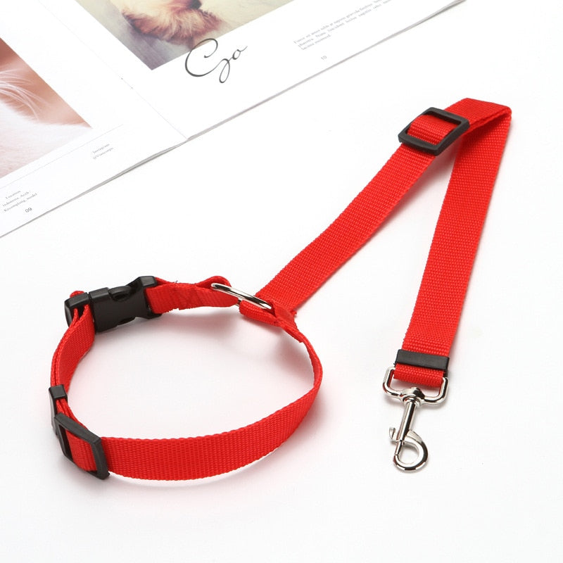 Two-in-one dog car seatbelt