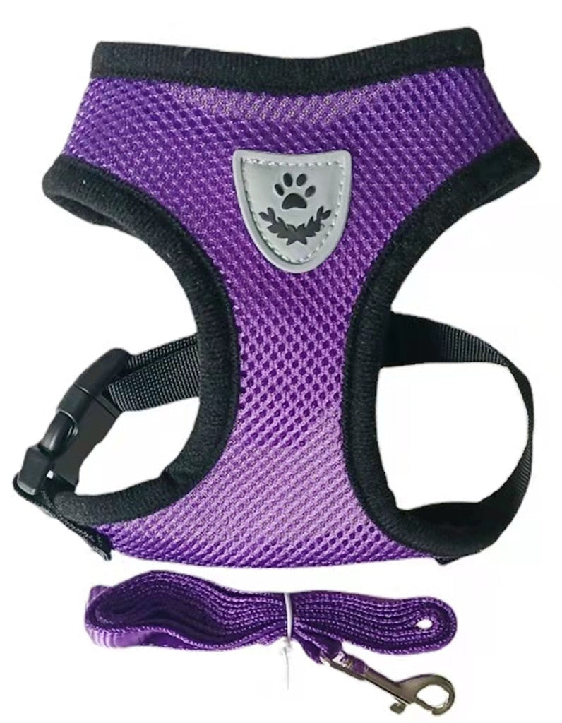 Cat and small dogs harness with lead