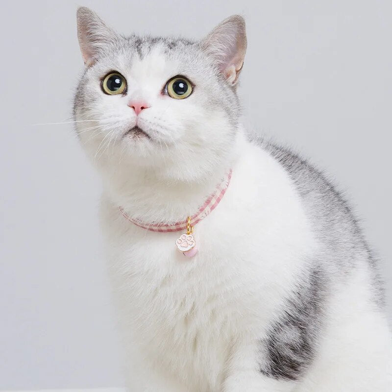 Cat and small dog collar