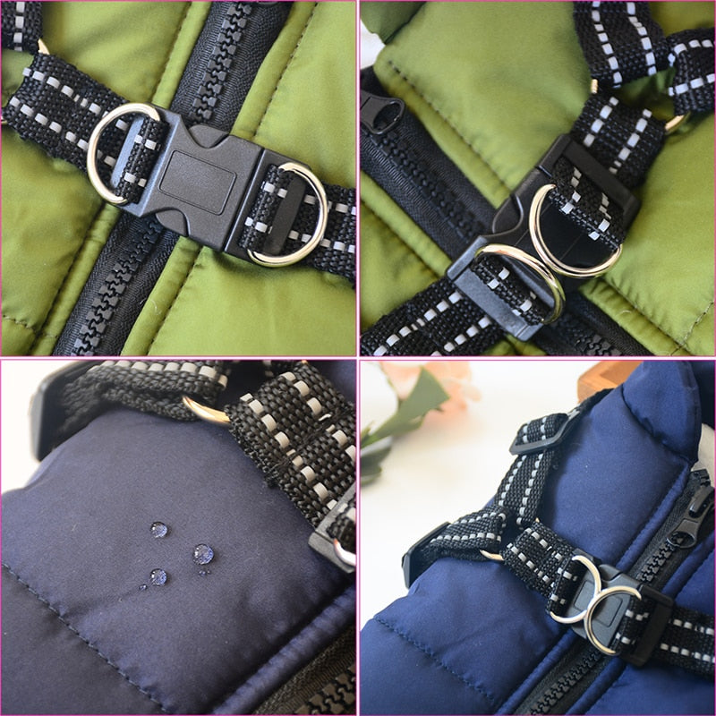 Large Dog Jacket With Harness