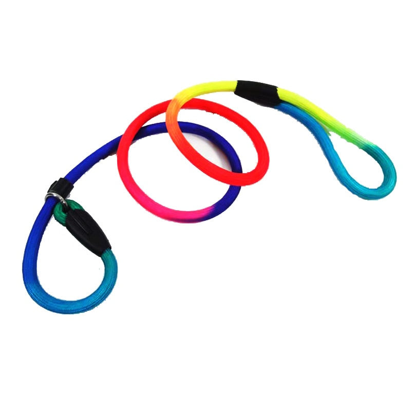 Rainbow  dog training lead