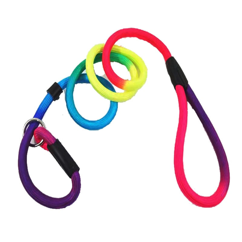 Rainbow  dog training lead