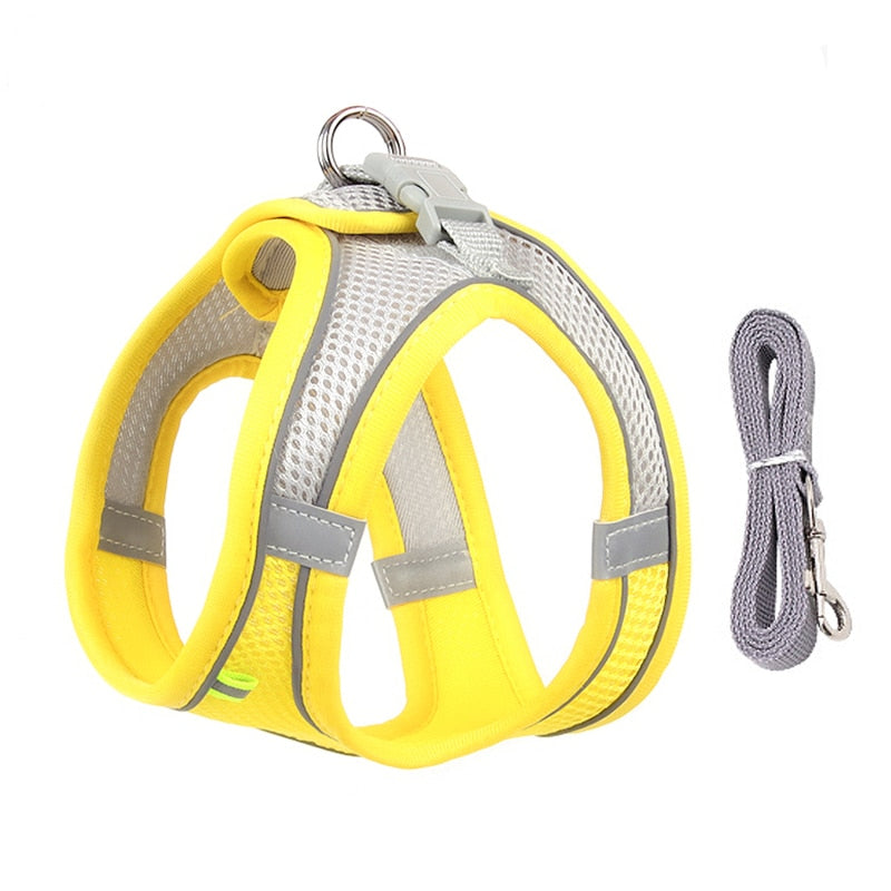 Dog harness & leash set for small dogs