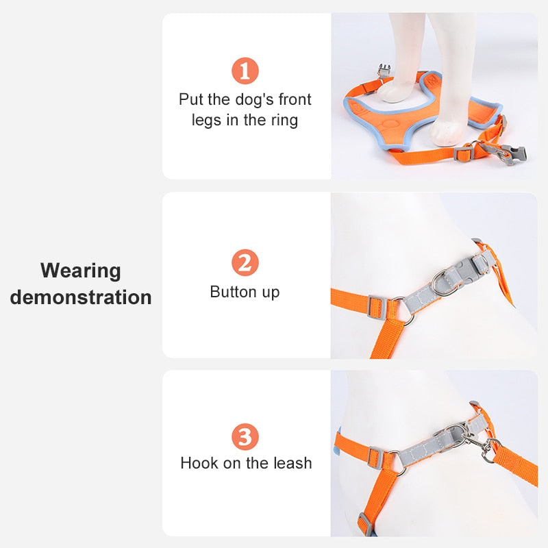 Dog harness and leash set