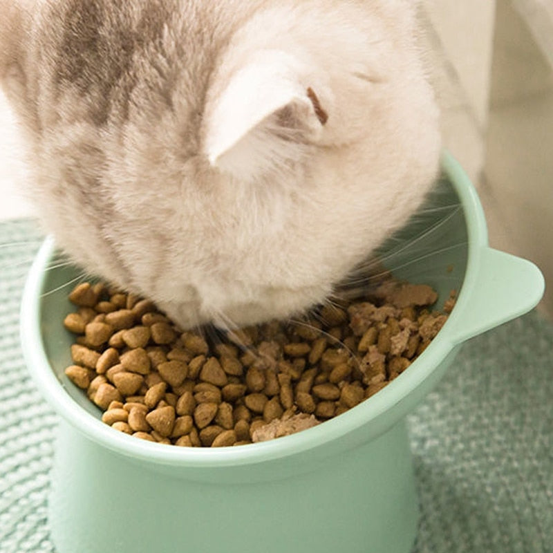 Pet food bowl