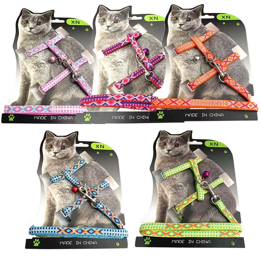 Nylon cat harness and lead set