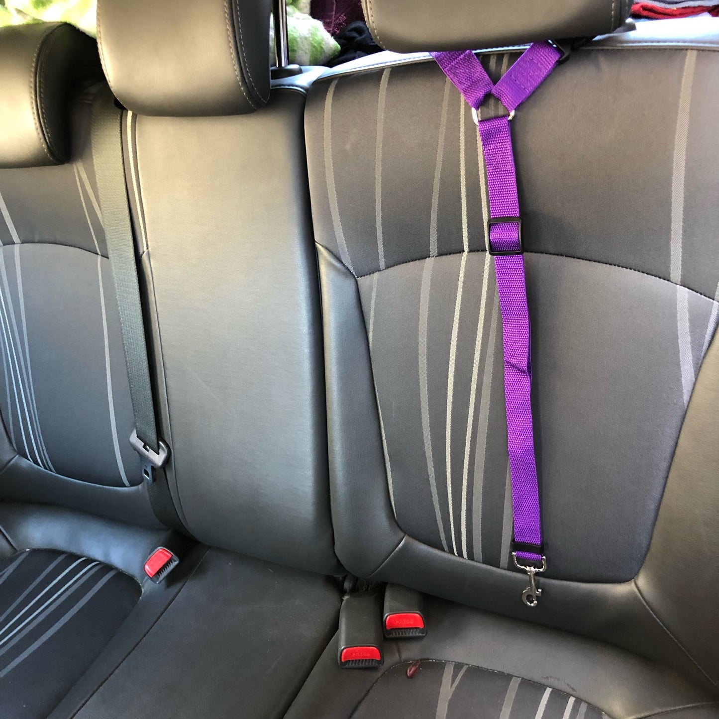 Two-in-one dog car seatbelt