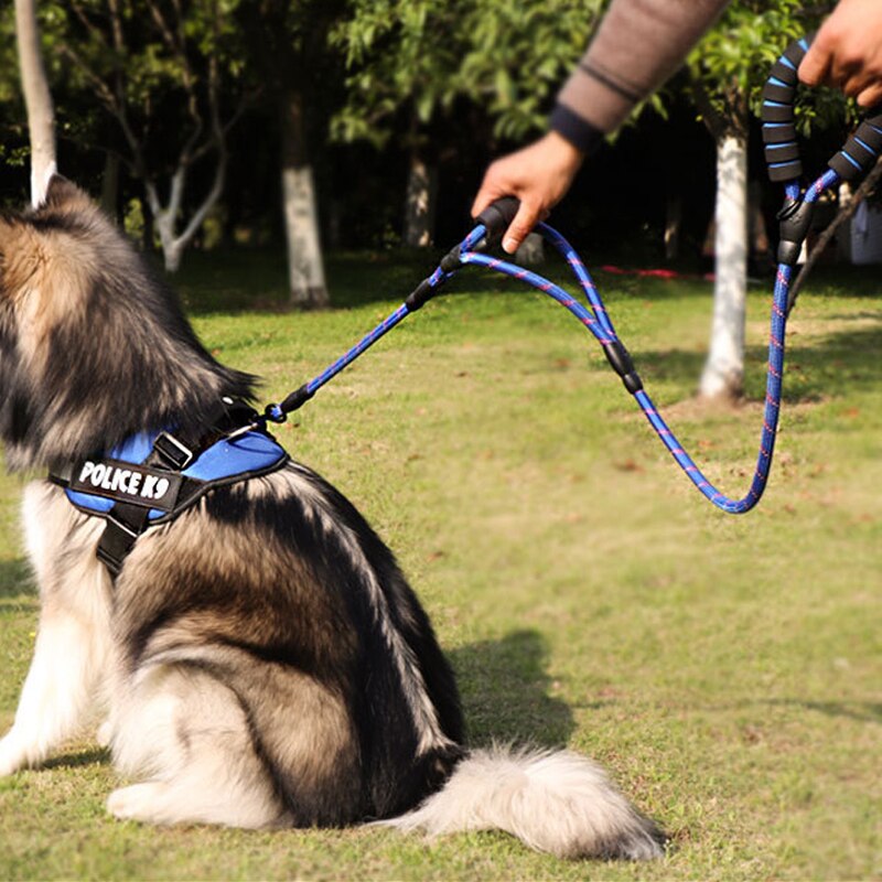 CAWAYI KENNEL Nylon Reflective Dog Lead