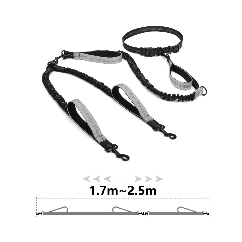 Retractable Hands Free Dog Leash For Running Dual Handle Bungee Leash