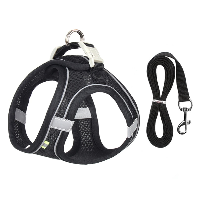 Dog harness & leash set for small dogs