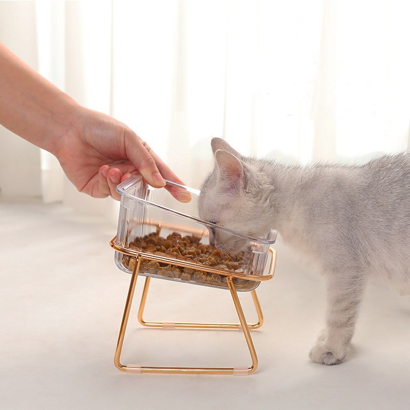 Non-Slip Double Cat Bowl