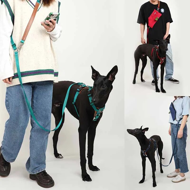 No Pull Dog Harness Adjustable Leather Pet Vest for Easy Walking with 2 Leash Clips