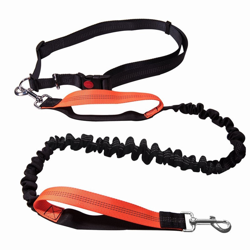 Dogs Leash Running Elasticity Hand Freely Pet Products Dogs Harness Collar Jogging Lead and Adjustable Waist Rope