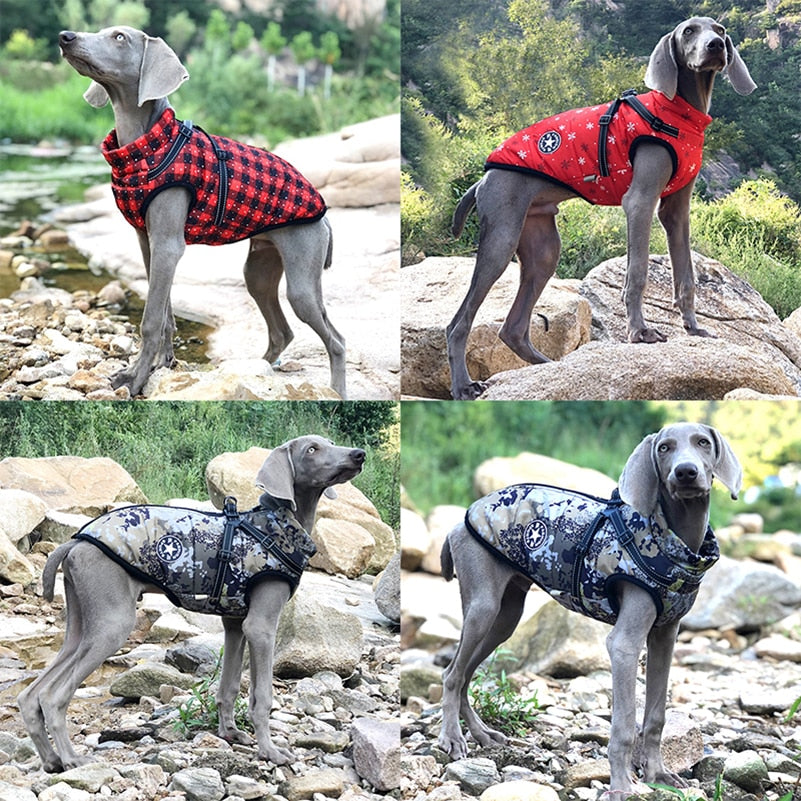 Winter Fleece Dog Jacket