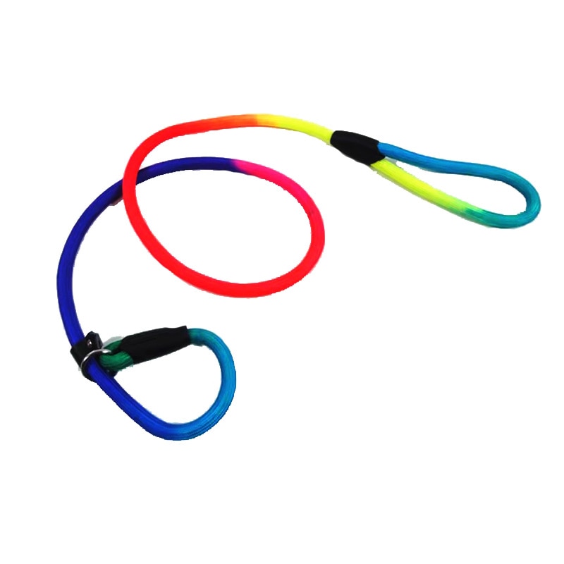 Rainbow  dog training lead