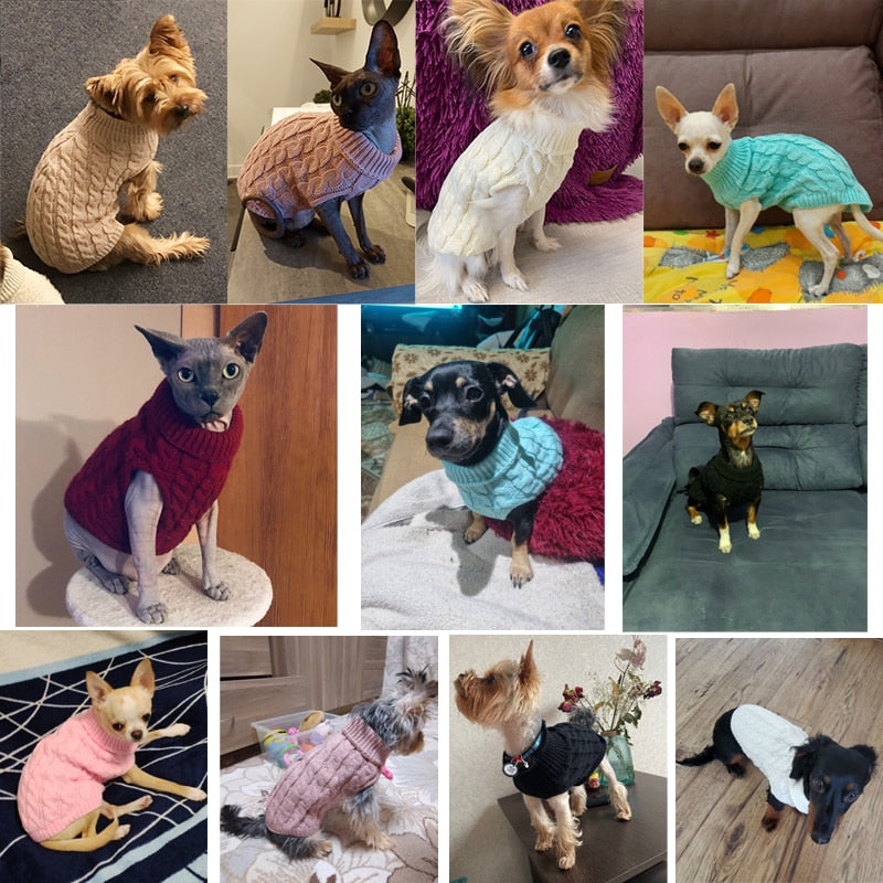 Dog sweaters for small dogs