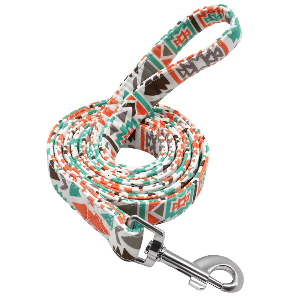 Didog nylon dog leash 150cm