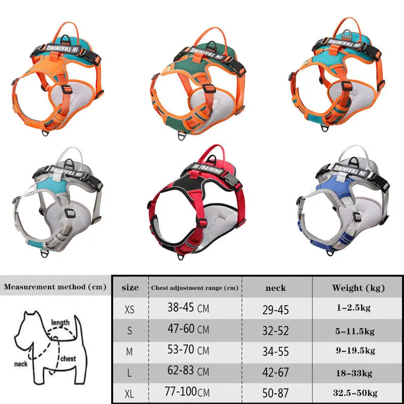 Nylon Adjustable Dog Harness Personalized Dog Harness V