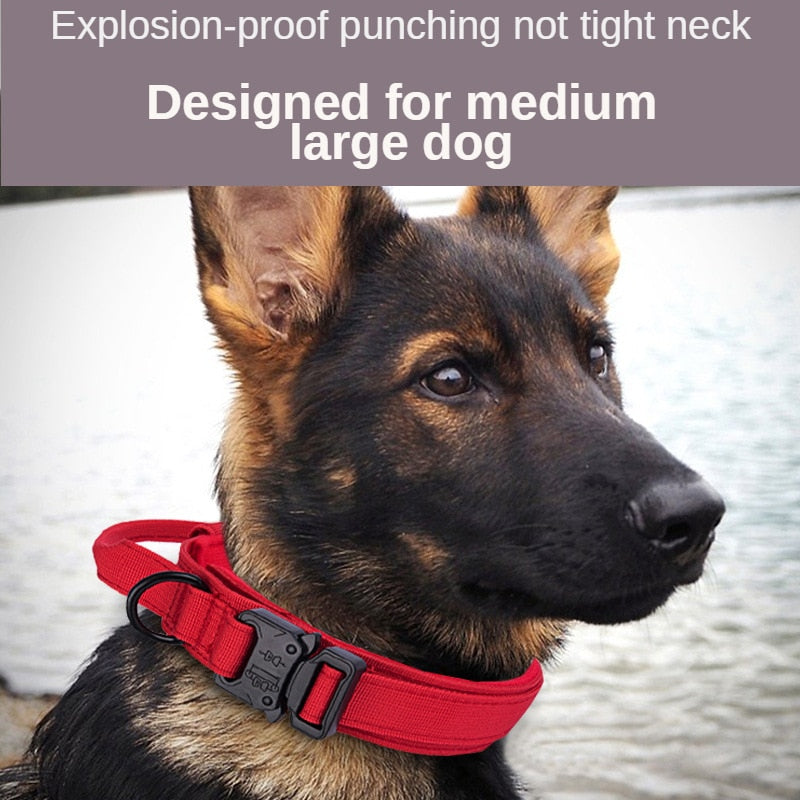 Durable Tactical Dog Collar & Lead Set