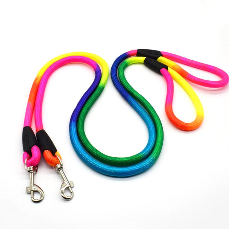 Rainbow 1.2M dog training lead