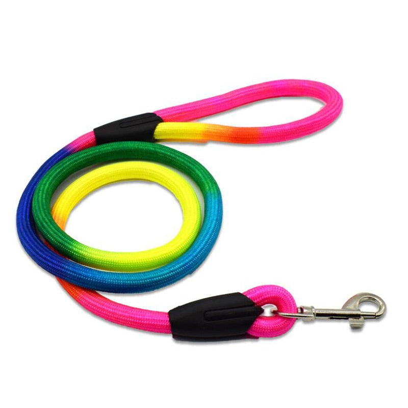 Rainbow 1.2M dog training lead