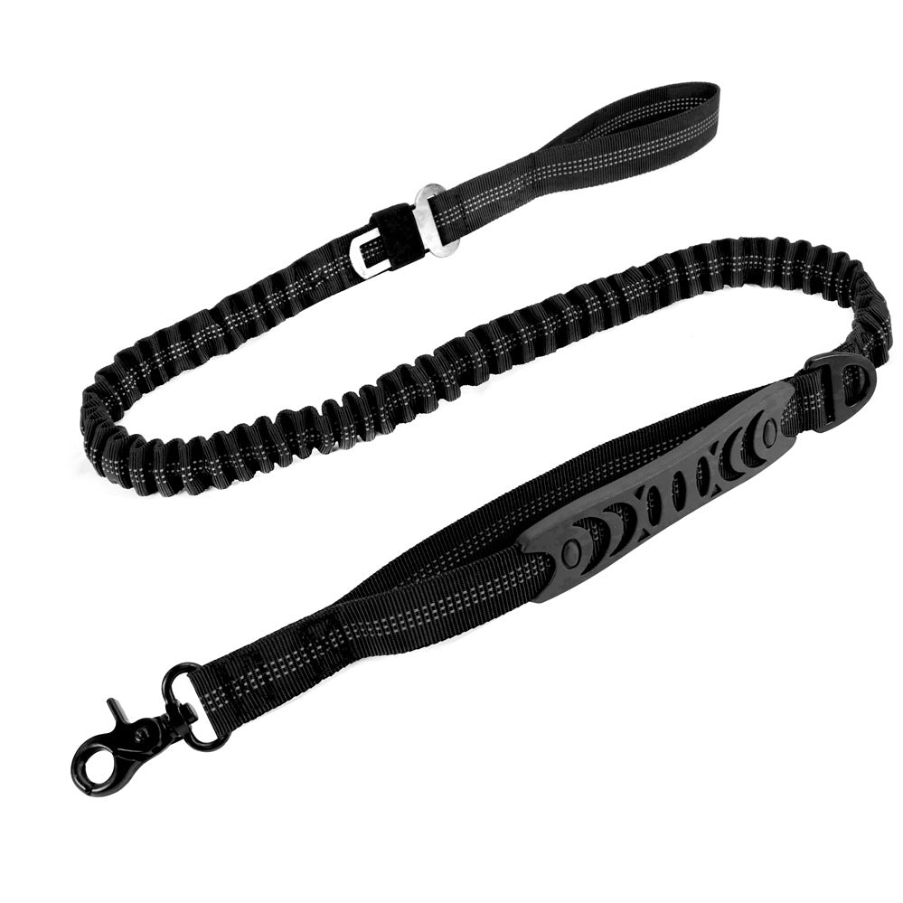 Dog lead with car seatbelt