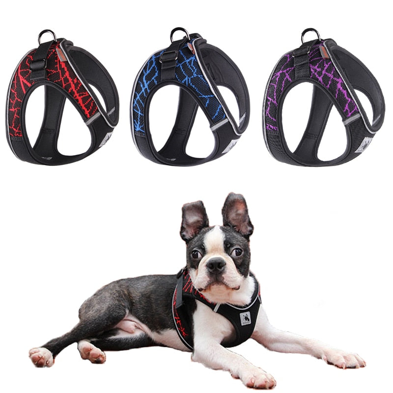 No Pull Dog Harness