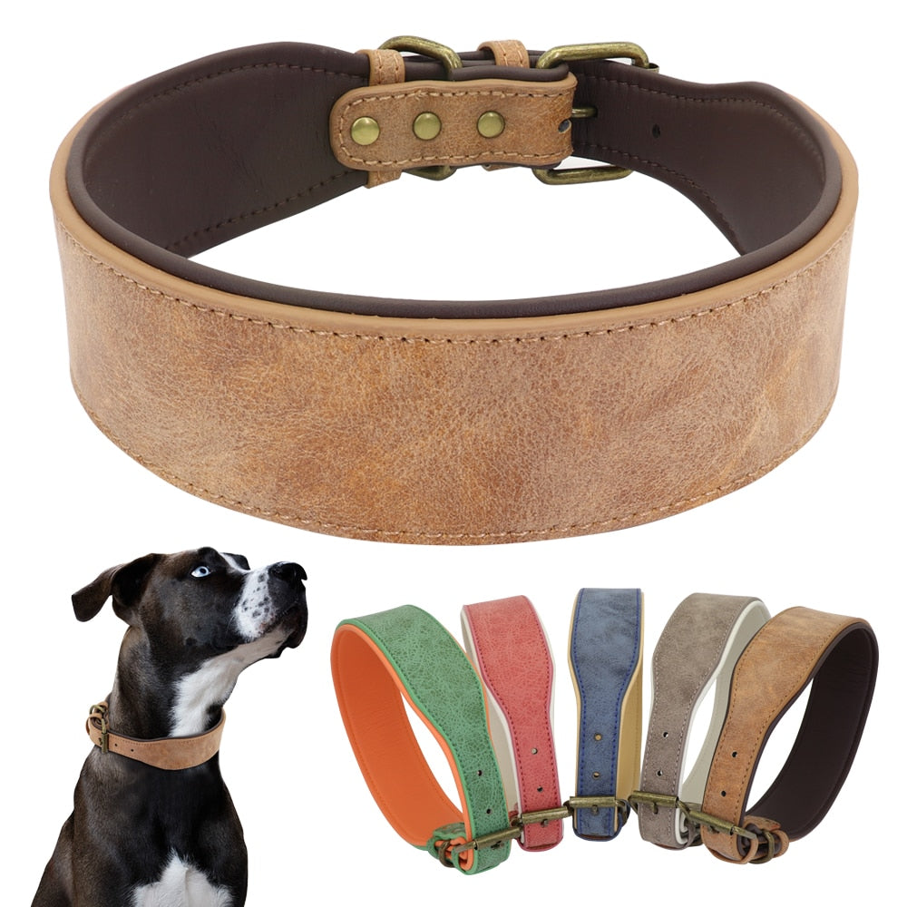 Wide leather dog collar