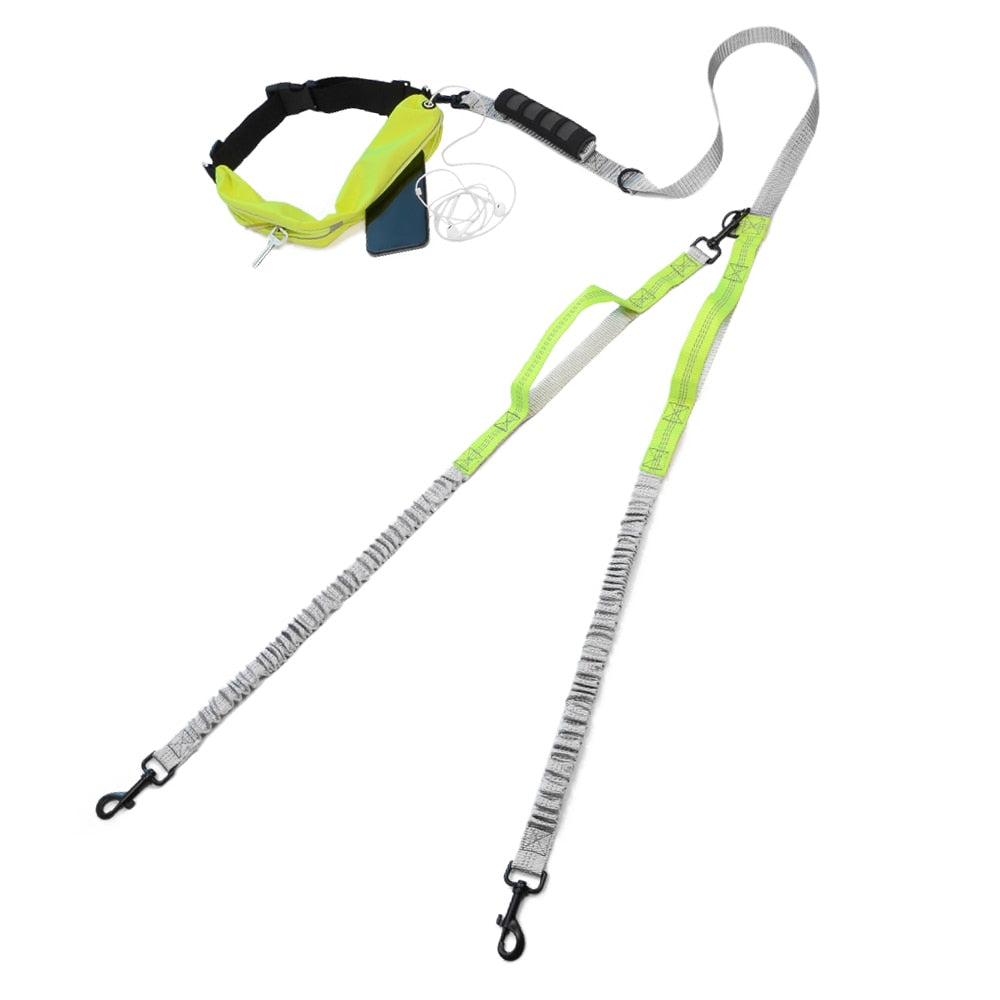 Elastic double dog lead 