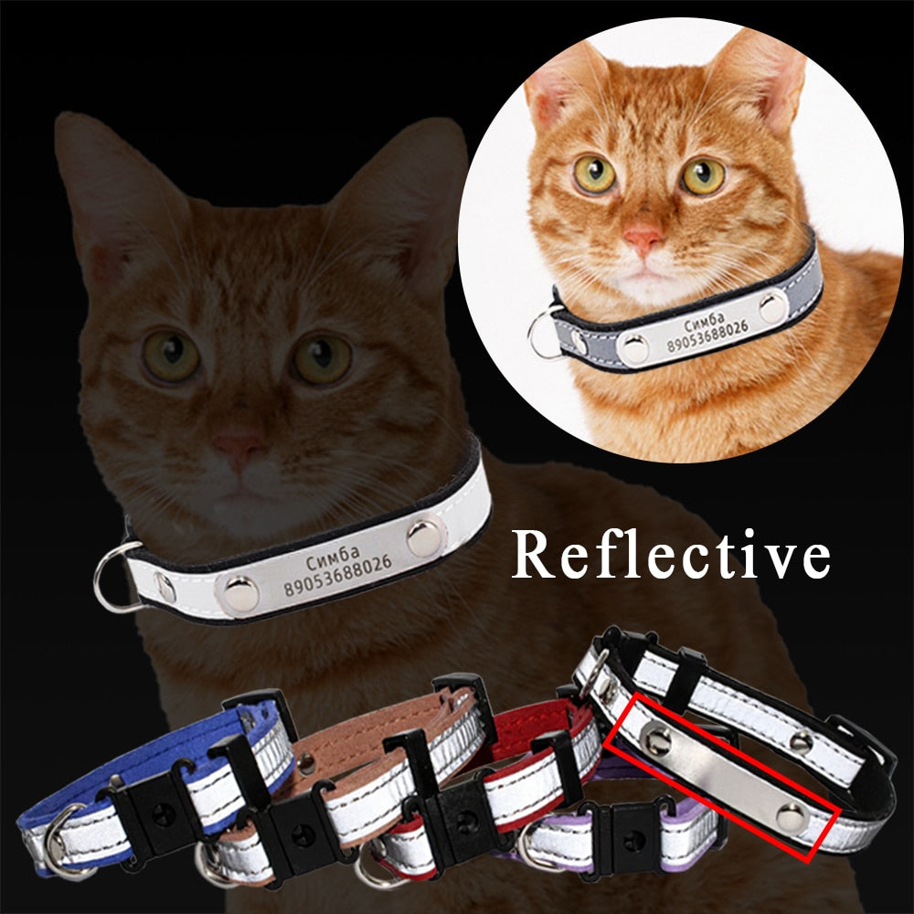 3 in1 Engraved Cat Collar With Name ID Tag Phone Number