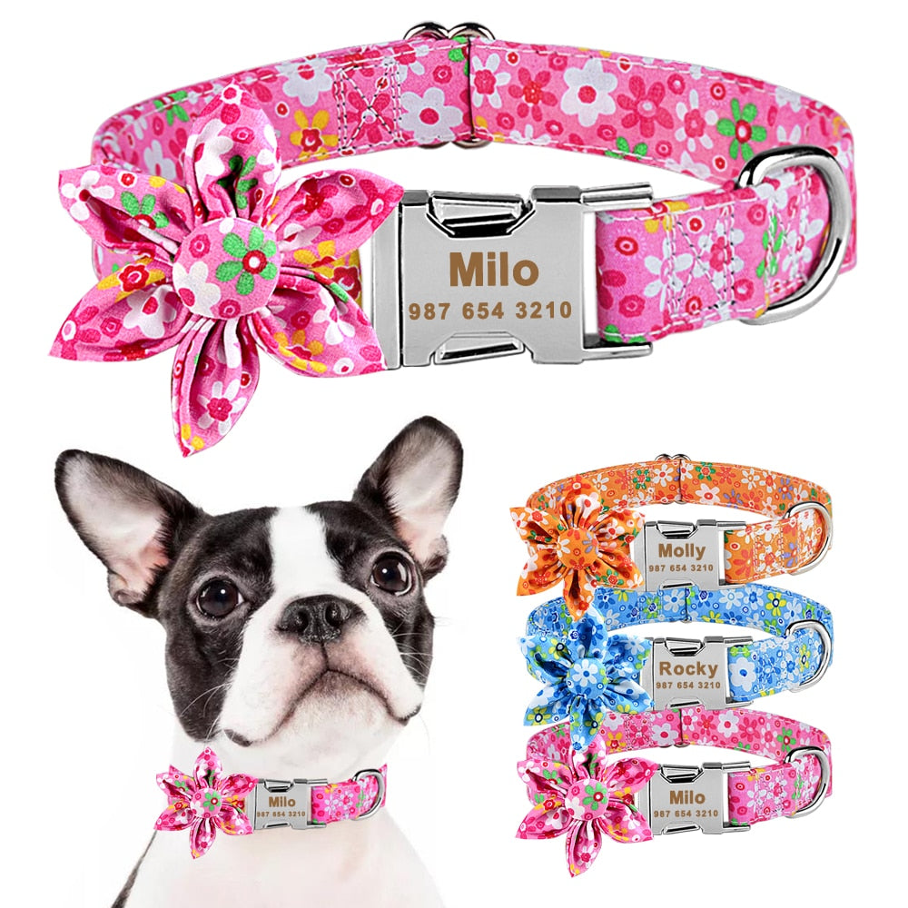 Personalized dog collar - free engraving