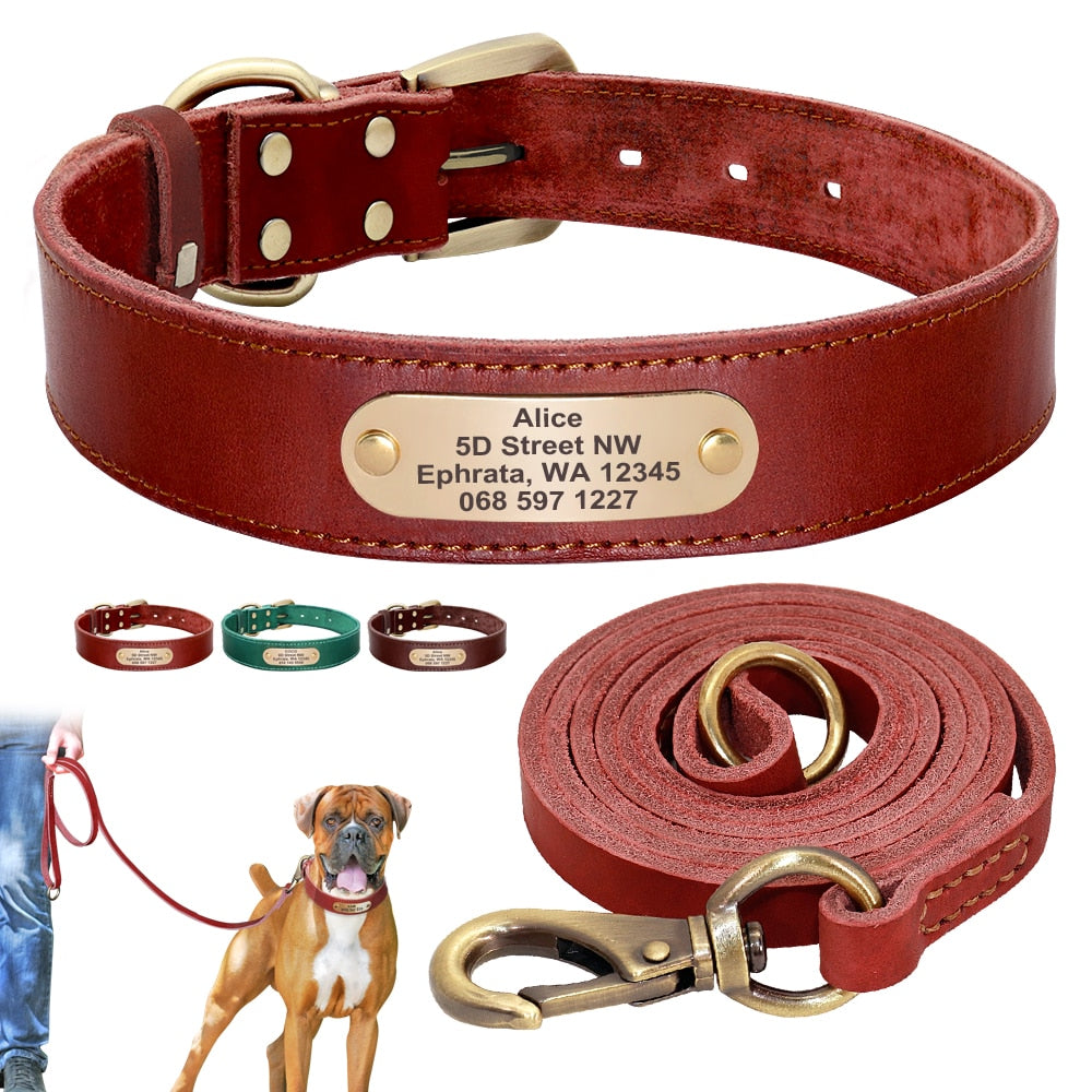 Leather Dog Collar Leash Set Personalized  Free Engraving