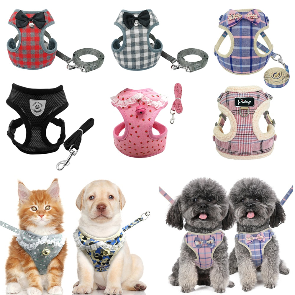 Didog dog/cat harness with lead set