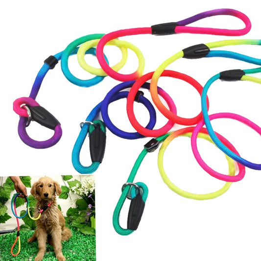 Rainbow  dog training lead