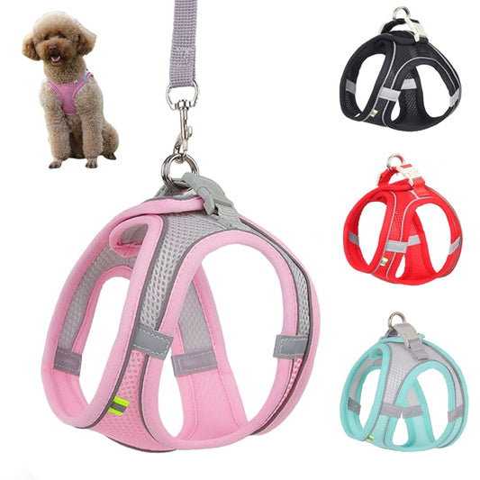 Dog harness & leash set for small dogs