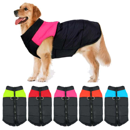 Winter dog vest