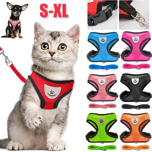 Cat and small dogs harness with lead