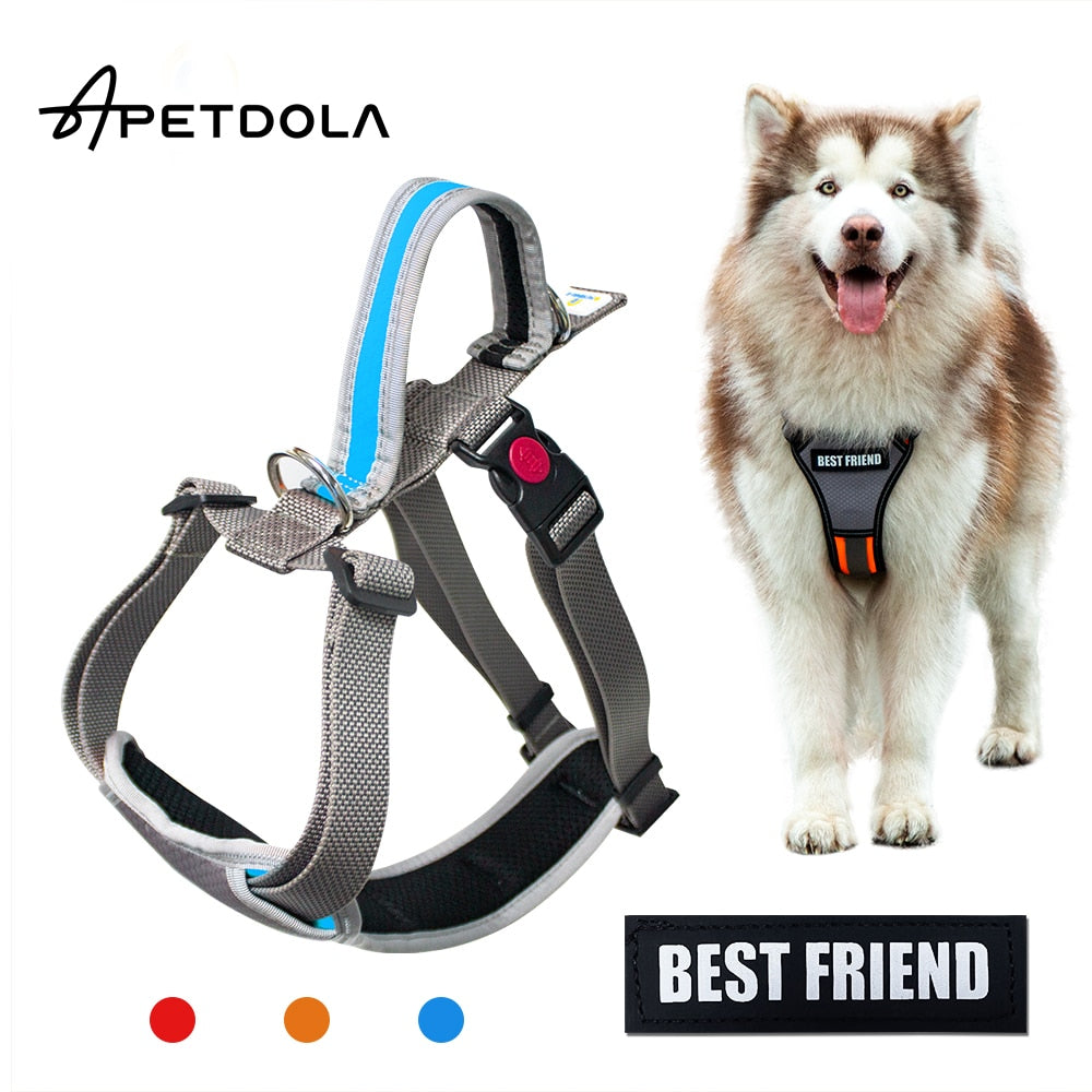 Personalized Dog Harness