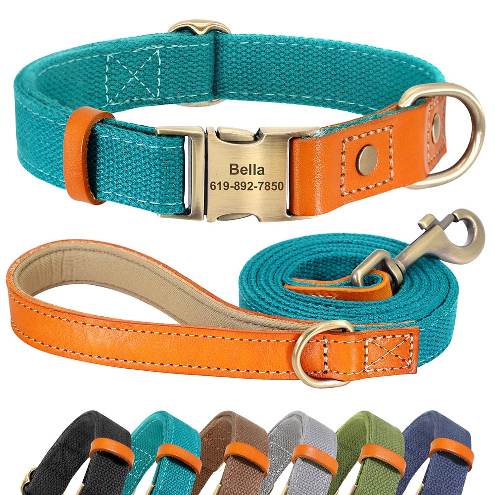 Pet Artist custom dog collar and lead set with name ID