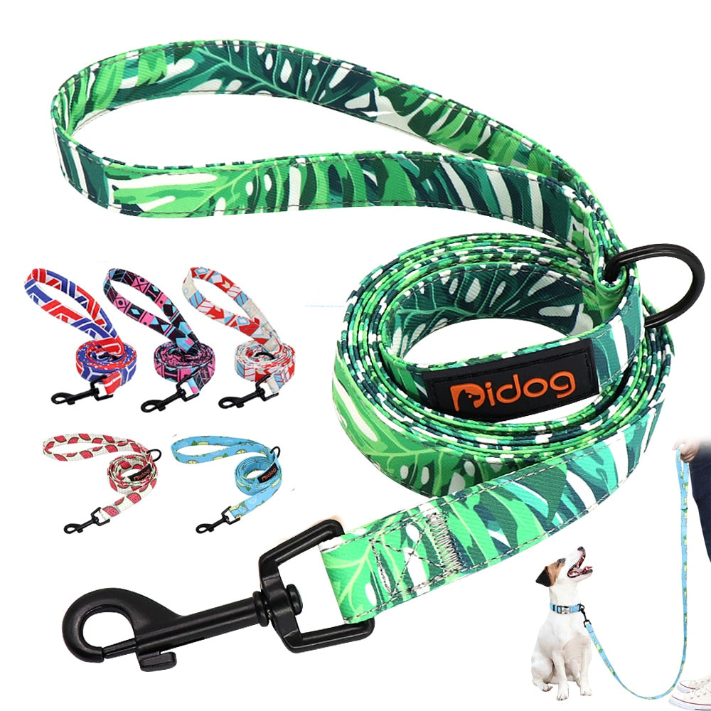 Didog nylon dog leash 150cm